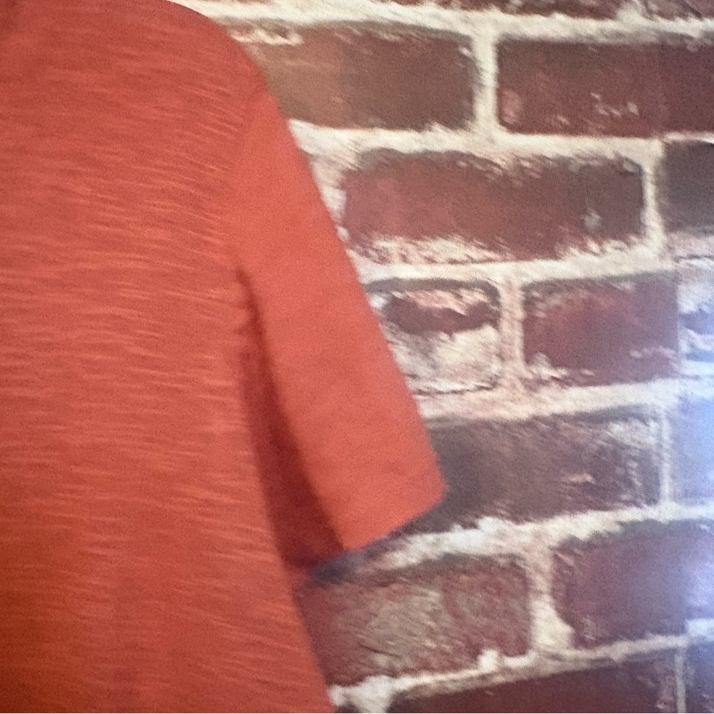LOFT Rust Ruffle-Hem Short Sleeve Top - Picture 4 of 7